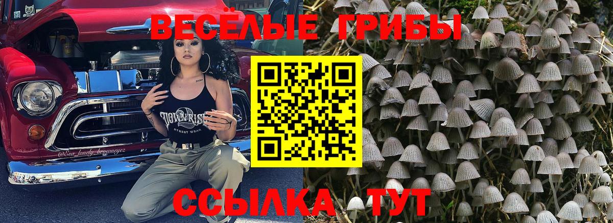 Галлюциногенные грибы мицелий Ликино-Дулёво